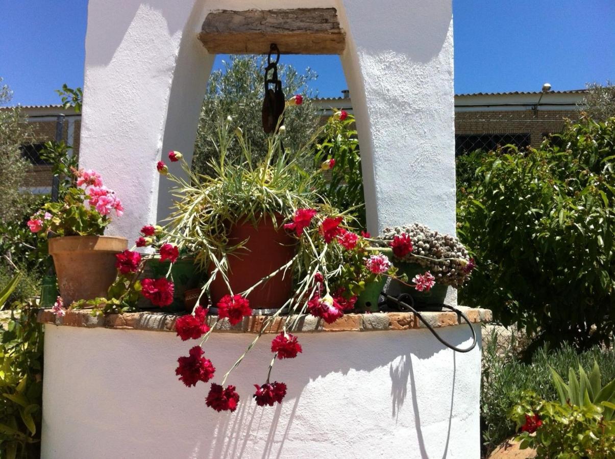 Hotel El Molino Osuna Exterior photo